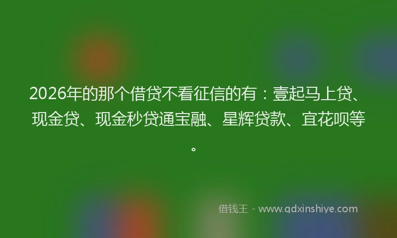 2026年的那个借贷不看征信的有：壹起马上贷、现金贷、现金秒贷通宝融、星辉贷款、宜花呗等。