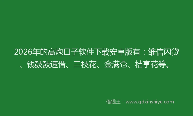 2026年的高炮口子软件下载安卓版有：维信闪贷、钱鼓鼓速借、三枝花、金满仓、桔享花等。