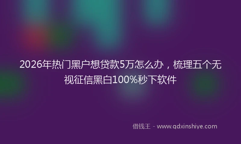 2026年热门黑户想贷款5万怎么办，梳理五个无视征信黑白100%秒下软件