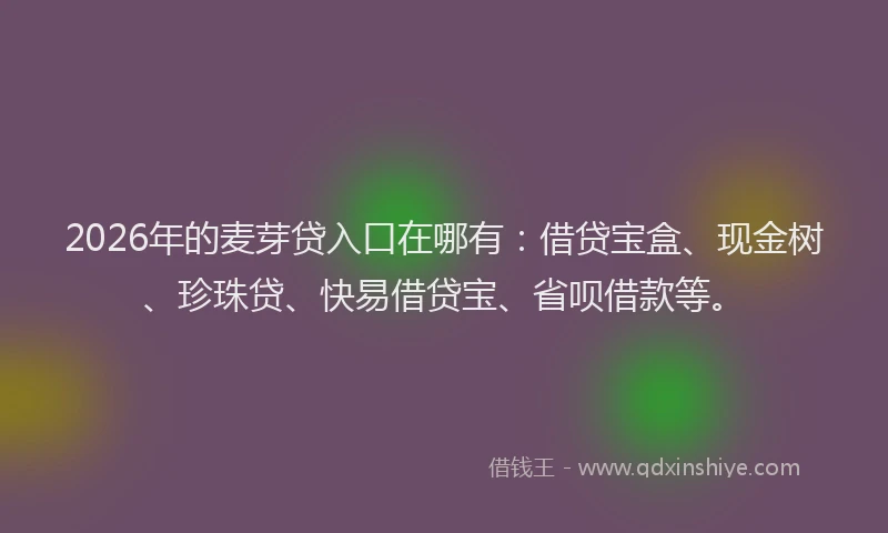 2026年的麦芽贷入口在哪有：借贷宝盒、现金树、珍珠贷、快易借贷宝、省呗借款等。