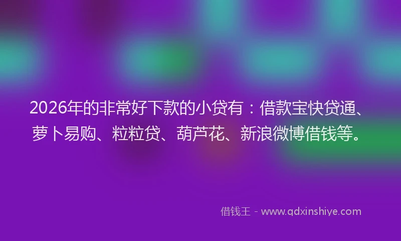 2026年的非常好下款的小贷有：借款宝快贷通、萝卜易购、粒粒贷、葫芦花、新浪微博借钱等。