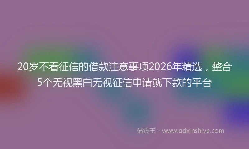 20岁不看征信的借款注意事项2026年精选，整合5个无视黑白无视征信申请就下款的平台