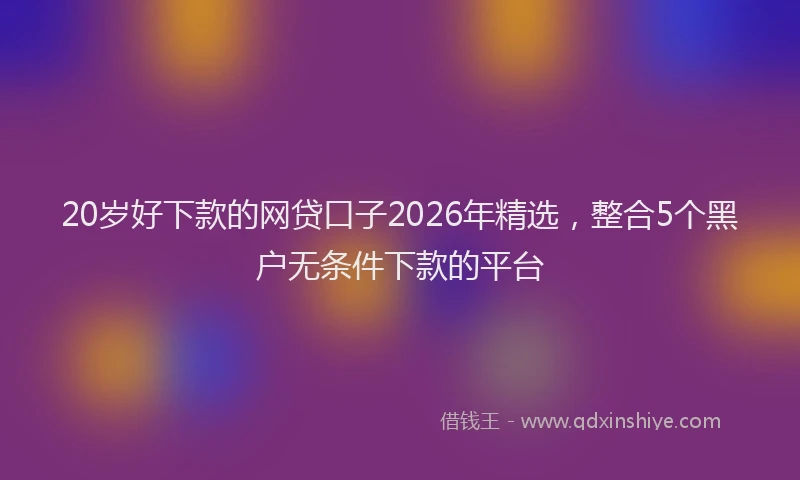 20岁好下款的网贷口子2026年精选，整合5个黑户无条件下款的平台