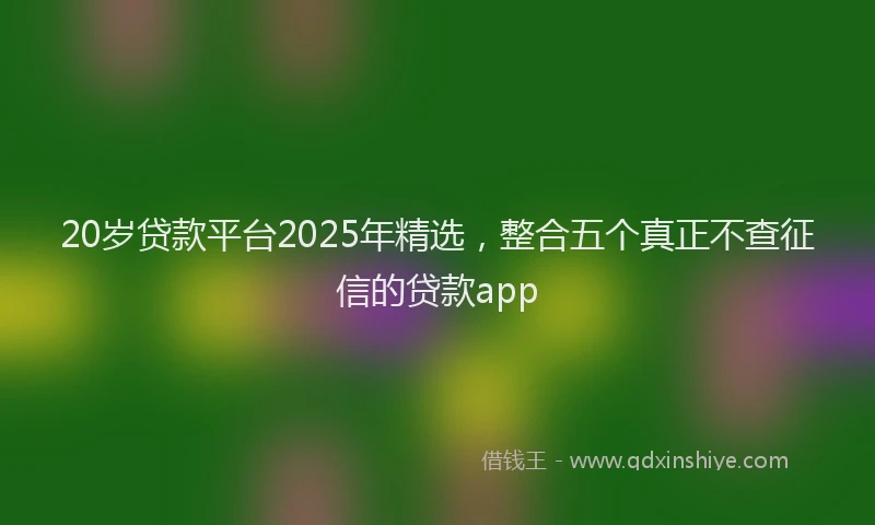 20岁贷款平台2025年精选，整合五个真正不查征信的贷款app