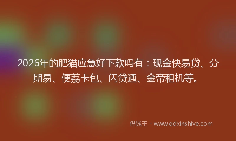 2026年的肥猫应急好下款吗有：现金快易贷、分期易、便荔卡包、闪贷通、金帝租机等。