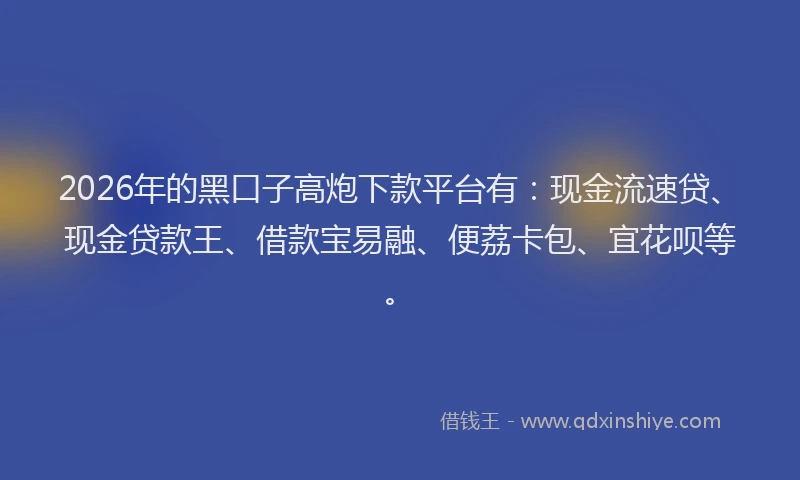 2026年的黑口子高炮下款平台有：现金流速贷、现金贷款王、借款宝易融、便荔卡包、宜花呗等。