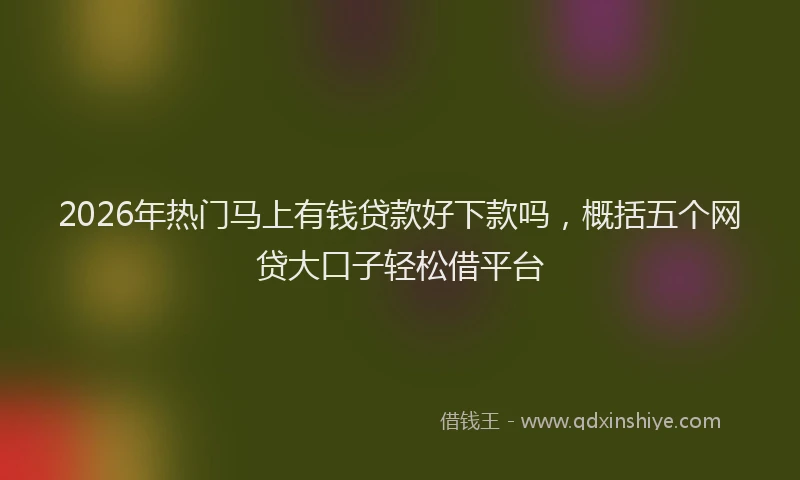 2026年热门马上有钱贷款好下款吗，概括五个网贷大口子轻松借平台