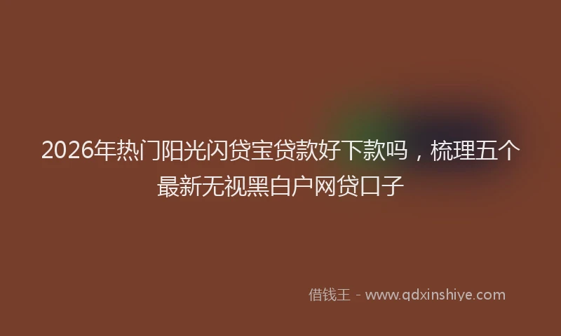 2026年热门阳光闪贷宝贷款好下款吗，梳理五个最新无视黑白户网贷口子