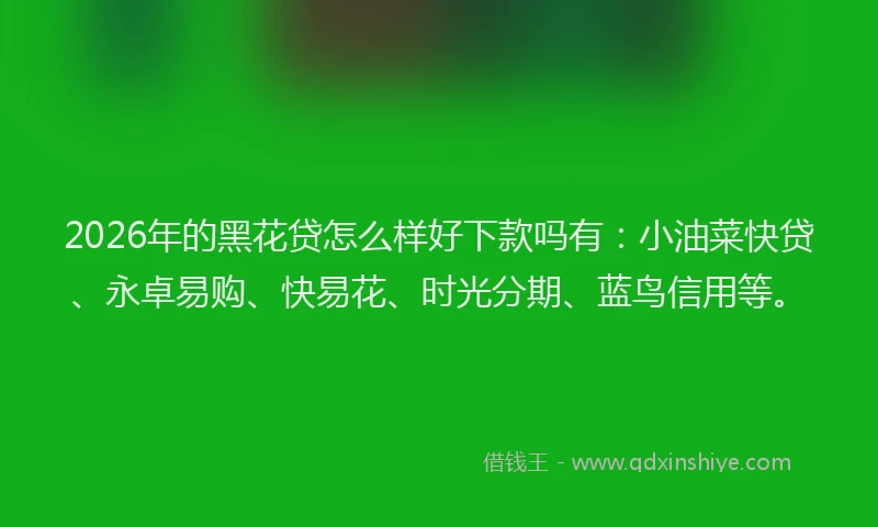 2026年的黑花贷怎么样好下款吗有：小油菜快贷、永卓易购、快易花、时光分期、蓝鸟信用等。