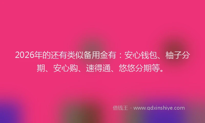 2026年的还有类似备用金有：安心钱包、柚子分期、安心购、速得通、悠悠分期等。