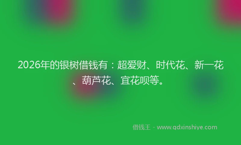 2026年的银树借钱有：超爱财、时代花、新一花、葫芦花、宜花呗等。
