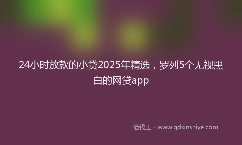24小时放款的小贷2025年精选，罗列5个无视黑白的网贷app