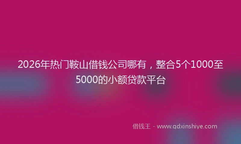 2026年热门鞍山借钱公司哪有，整合5个1000至5000的小额贷款平台