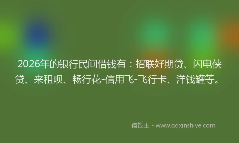 2026年的银行民间借钱有:招联好期贷、闪电侠贷、来租呗、畅行花-信用飞-飞行卡、洋钱罐等。