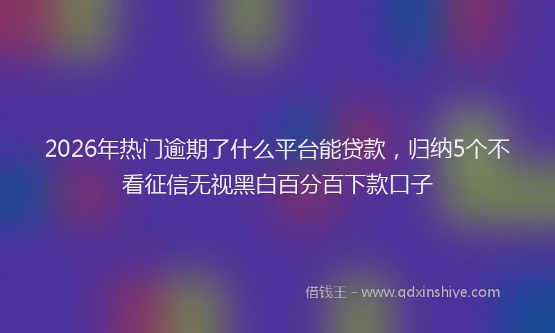 2026年热门逾期了什么平台能贷款，归纳5个不看征信无视黑白百分百下款口子