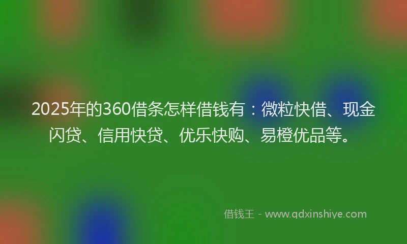 2025年的360借条怎样借钱有:微粒快借、现金闪贷、信用快贷、优乐快购、易橙优品等。