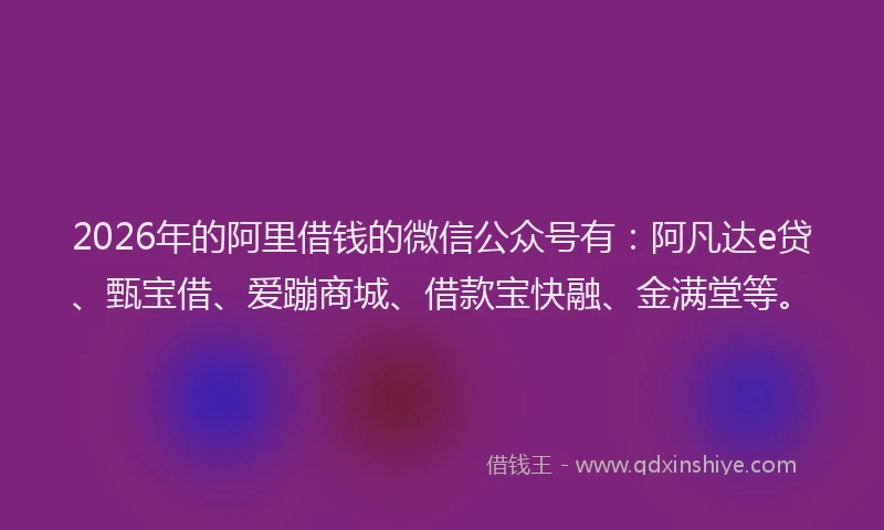 2026年的阿里借钱的微信公众号有：阿凡达e贷、甄宝借、爱蹦商城、借款宝快融、金满堂等。