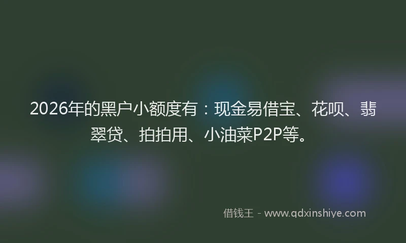 2026年的黑户小额度有:现金易借宝、花呗、翡翠贷、拍拍用、小油菜P2P等。
