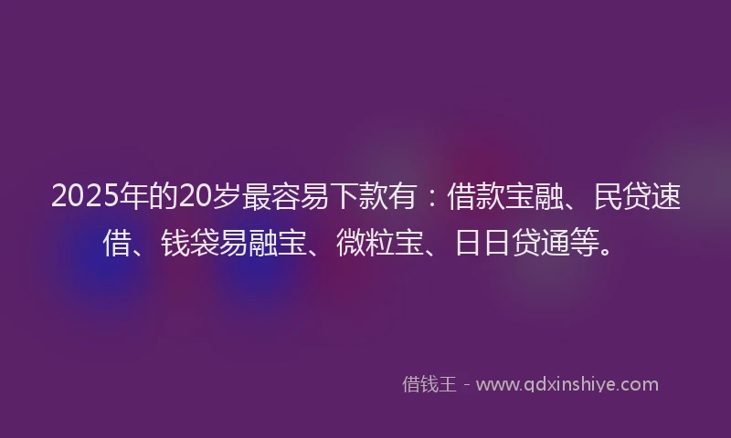 2025年的20岁最容易下款有：借款宝融、民贷速借、钱袋易融宝、微粒宝、日日贷通等。