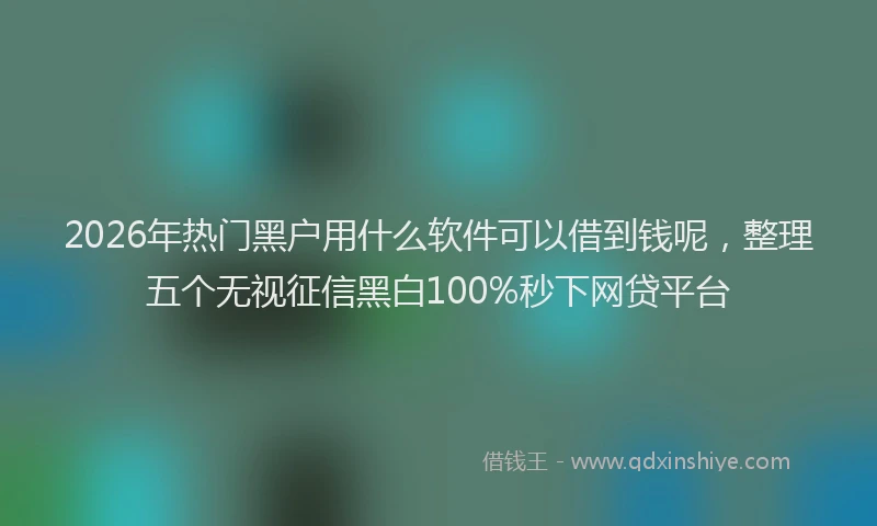 2026年热门黑户用什么软件可以借到钱呢，整理五个无视征信黑白100%秒下网贷平台