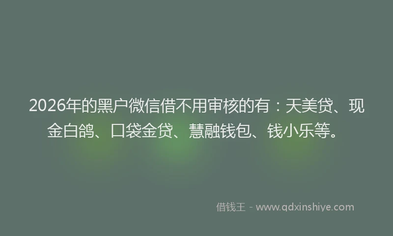 2026年的黑户微信借不用审核的有：天美贷、现金白鸽、口袋金贷、慧融钱包、钱小乐等。
