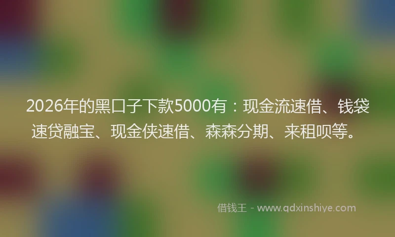 2026年的黑口子下款5000有：现金流速借、钱袋速贷融宝、现金侠速借、森森分期、来租呗等。