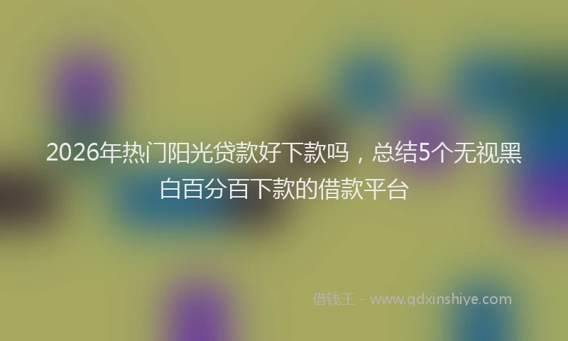 2026年热门阳光贷款好下款吗，总结5个无视黑白百分百下款的借款平台