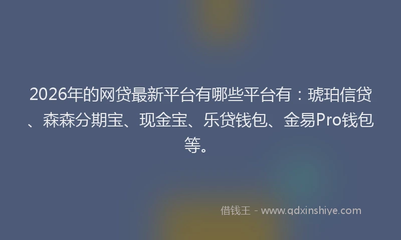 2026年的网贷最新平台有哪些平台有：琥珀信贷、森森分期宝、现金宝、乐贷钱包、金易Pro钱包等。