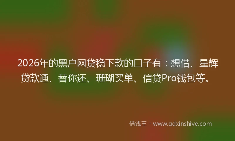 2026年的黑户网贷稳下款的口子有：想借、星辉贷款通、替你还、珊瑚买单、信贷Pro钱包等。