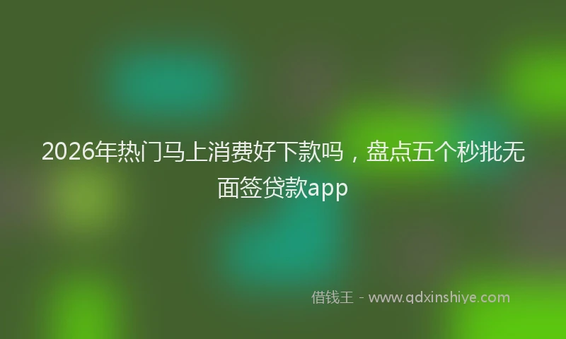 2026年热门马上消费好下款吗，盘点五个秒批无面签贷款app