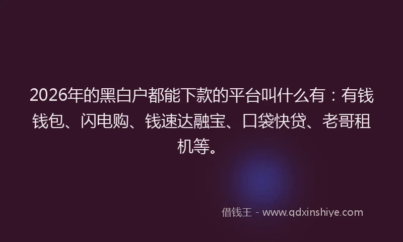 2026年的黑白户都能下款的平台叫什么有：有钱钱包、闪电购、钱速达融宝、口袋快贷、老哥租机等。