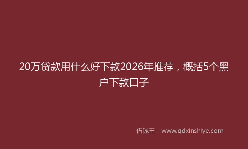 20万贷款用什么好下款2026年推荐，概括5个黑户下款口子
