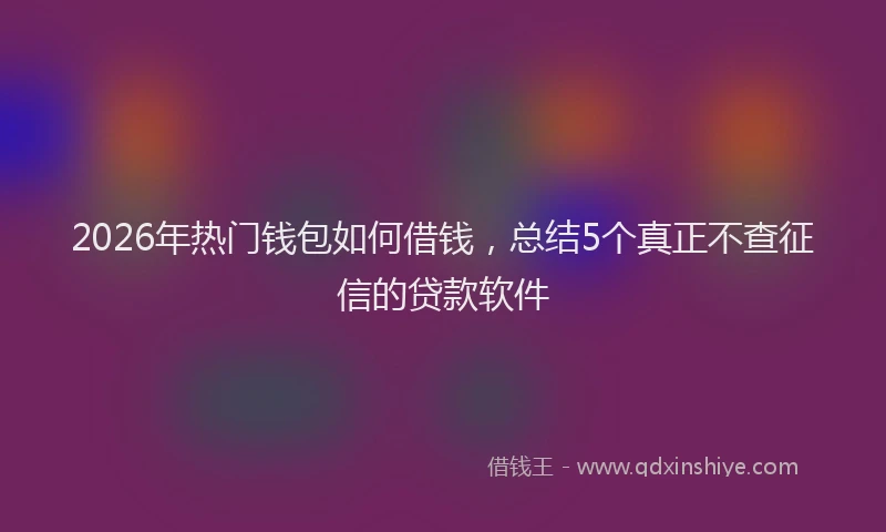 2026年热门钱包如何借钱，总结5个真正不查征信的贷款软件
