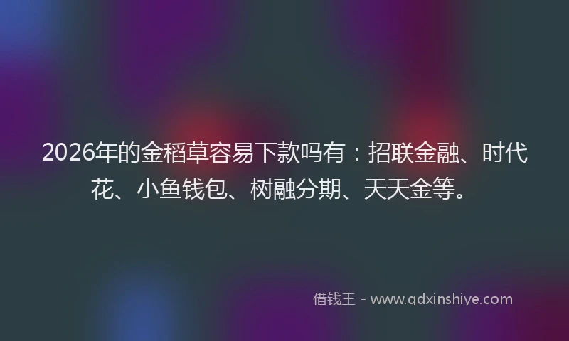 2026年的金稻草容易下款吗有:招联金融、时代花、小鱼钱包、树融分期、天天金等。