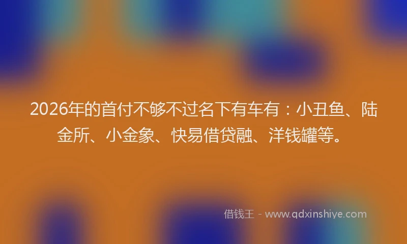 2026年的首付不够不过名下有车有：小丑鱼、陆金所、小金象、快易借贷融、洋钱罐等。