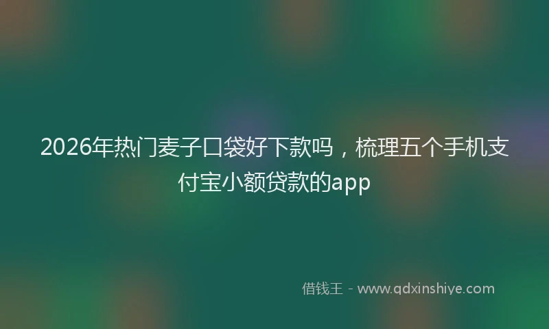 2026年热门麦子口袋好下款吗，梳理五个手机支付宝小额贷款的app