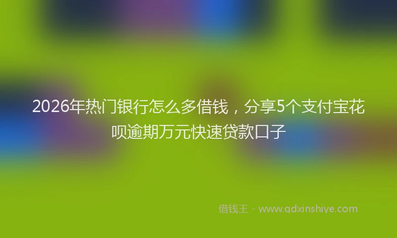 2026年热门银行怎么多借钱，分享5个支付宝花呗逾期万元快速贷款口子