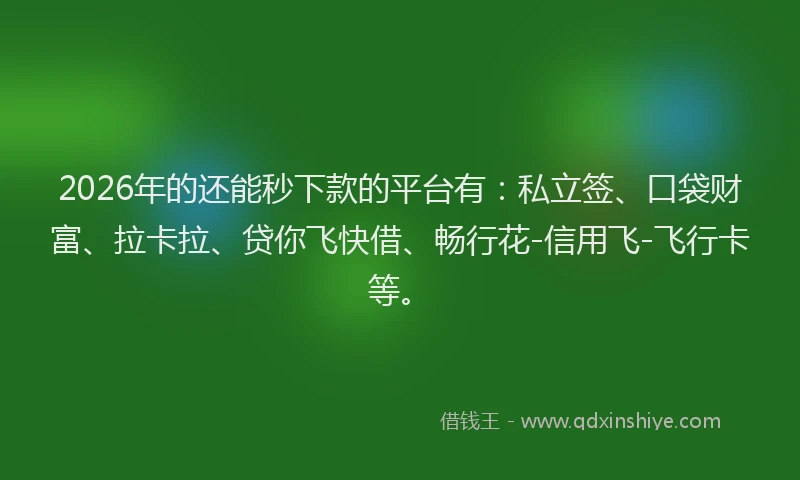 2026年的还能秒下款的平台有:私立签、口袋财富、拉卡拉、贷你飞快借、畅行花-信用飞-飞行卡等。