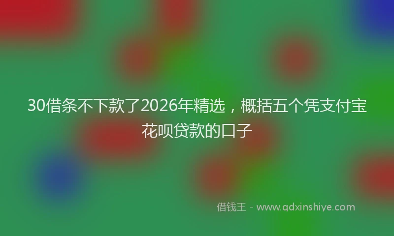30借条不下款了2026年精选，概括五个凭支付宝花呗贷款的口子