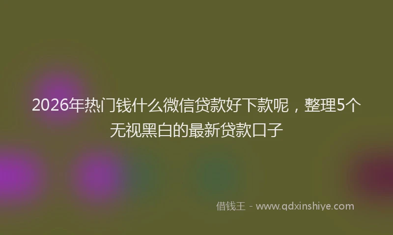 2026年热门钱什么微信贷款好下款呢，整理5个无视黑白的最新贷款口子