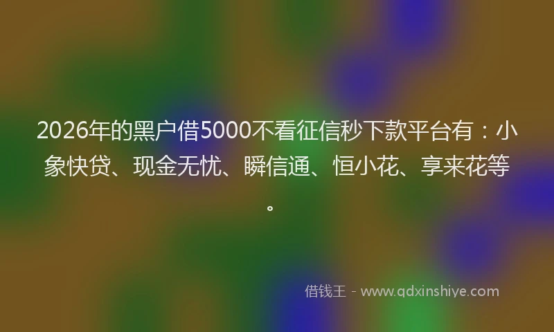 2026年的黑户借5000不看征信秒下款平台有：小象快贷、现金无忧、瞬信通、恒小花、享来花等。