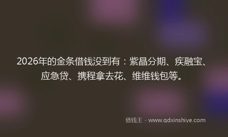 2026年的金条借钱没到有：紫晶分期、疾融宝、应急贷、携程拿去花、维维钱包等。