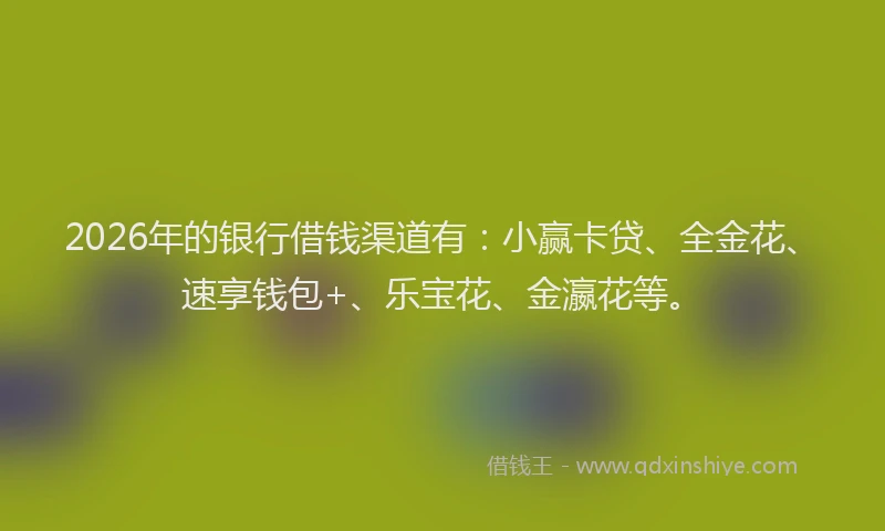2026年的银行借钱渠道有:小赢卡贷、全金花、速享钱包+、乐宝花、金瀛花等。