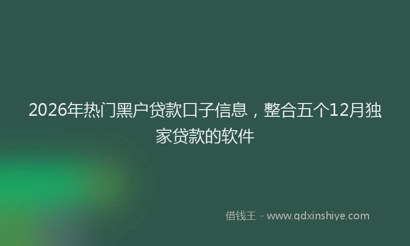 2026年热门黑户贷款口子信息，整合五个12月独家贷款的软件