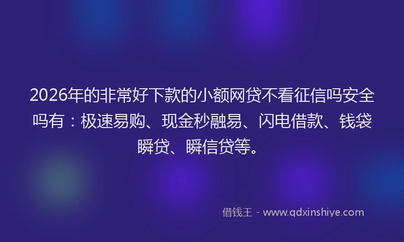 2026年的非常好下款的小额网贷不看征信吗安全吗有：极速易购、现金秒融易、闪电借款、钱袋瞬贷、瞬信贷等。