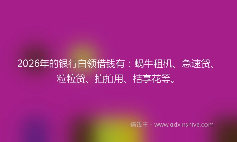 2026年的银行白领借钱有：蜗牛租机、急速贷、粒粒贷、拍拍用、桔享花等。