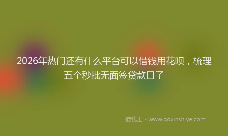 2026年热门还有什么平台可以借钱用花呗，梳理五个秒批无面签贷款口子