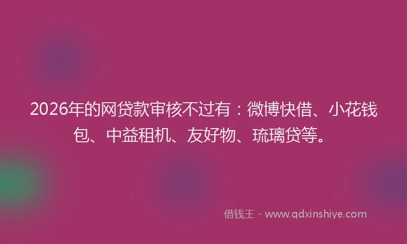 2026年的网贷款审核不过有：微博快借、小花钱包、中益租机、友好物、琉璃贷等。