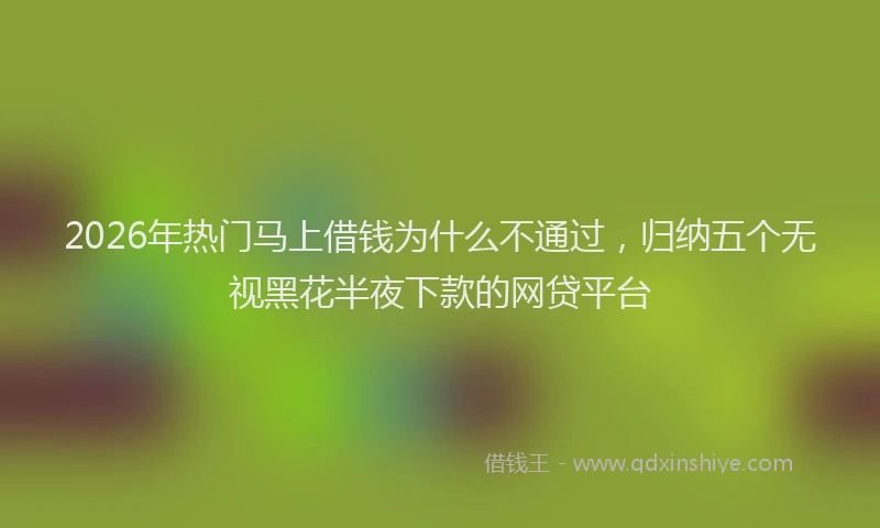 2026年热门马上借钱为什么不通过，归纳五个无视黑花半夜下款的网贷平台
