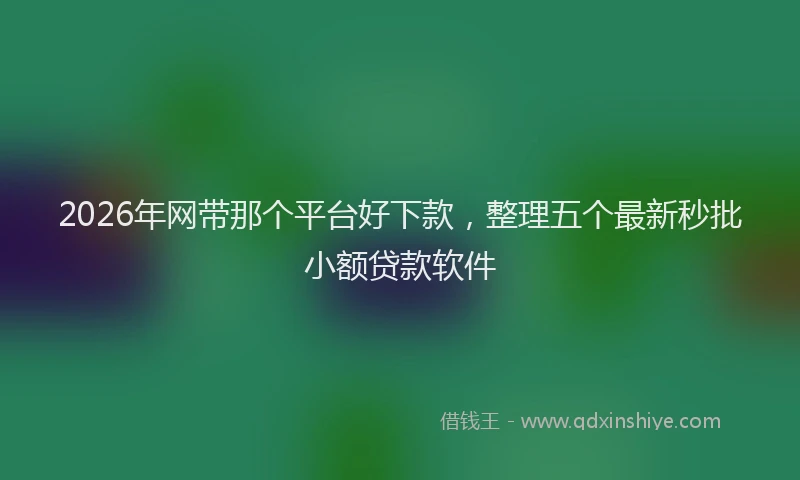 2026年网带那个平台好下款，整理五个最新秒批小额贷款软件